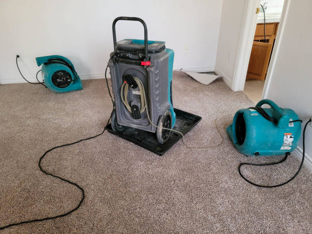 Best Flood restoration services  in Thatcher, AZ