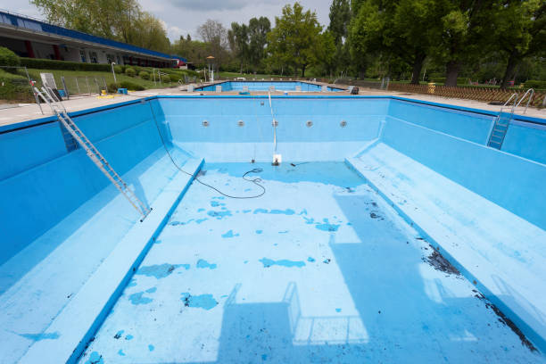 Best Water damage contractors near me  in Thatcher, AZ