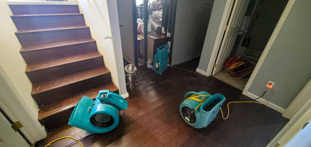 Trusted AZ Water damage restoration Experts
