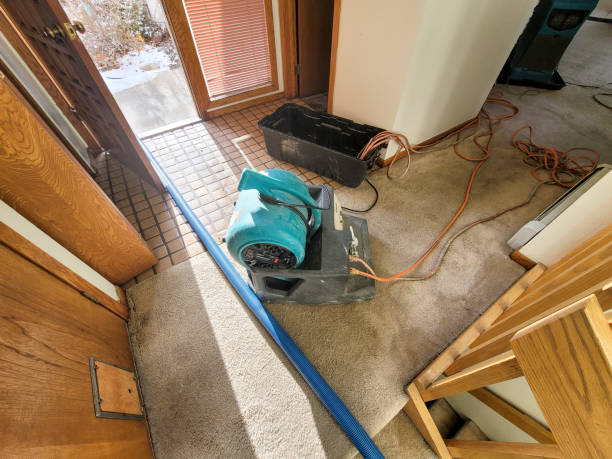 Best Water damage cleanup near me  in Thatcher, AZ