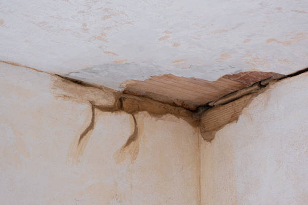 Best Flooded house restoration  in Thatcher, AZ