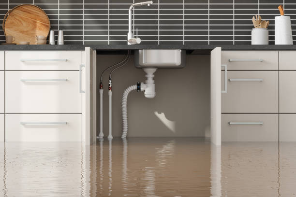 Best Emergency water extraction  in Thatcher, AZ