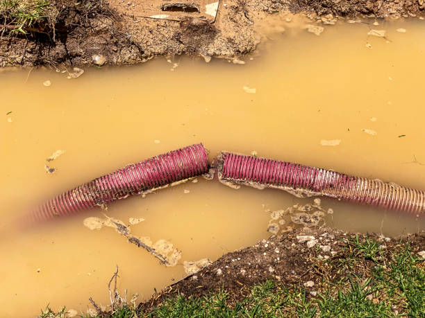 Best Water damage restoration near me  in Thatcher, AZ