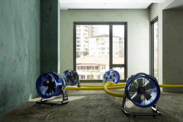Best Sewage cleanup and water damage restoration  in Thatcher, AZ