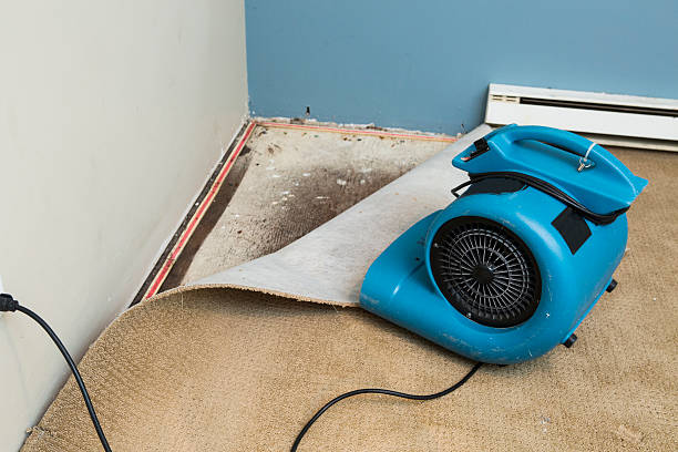  Thatcher, AZ Water damage restoration Pros